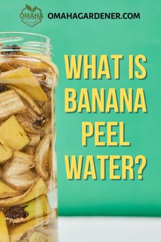 what is banana peel water in a glass jar with the words, what is bananas peel water?