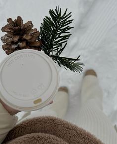 Christmas Wallpaper Iphone Cute, Snow Trip, Winter Coffee, Winter Fairy, Winter Photos, Aesthetic Christmas, Christmas Post