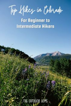 the cover of top hikes in colorado for beginners to intermediaate hikers