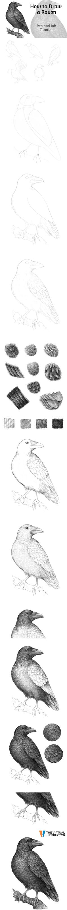 How to Draw a Raven with Pen and Ink Geometric Arrow Tattoo, Crows Drawing, Systems Art, Nature Art Drawings, Nature Sketch, Crow Art, Raven Art, Art Drawings Sketches Pencil, Beautiful Dark Art