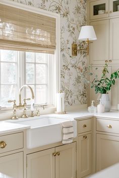 a white sink sitting under a window next to a window sill in a kitchen