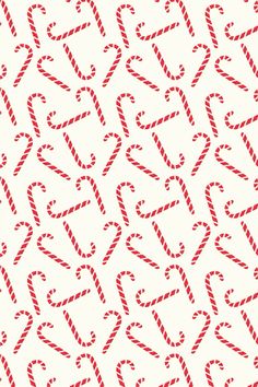 red and white candy canes on a white background