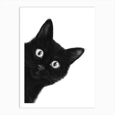 a black cat with blue eyes looking up at the camera, in front of a white background