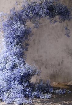 blue flowers are growing on the side of a wall in an empty room with concrete flooring