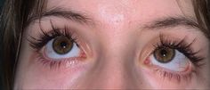 Big Brown Eyes Aesthetic, Lashes Reference, Bambi Eyes Aesthetic, Bambi Eyes, Droopy Eyes, Long Eyelashes, Doe Eyes, Aesthetic Eyes, Pretty Eyes