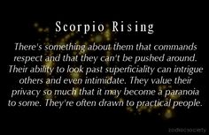 the words scorpion rising written in black and gold on a dark background with sparkles