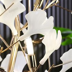 a close up of a white flower with gold stems