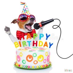 a dog wearing sunglasses and a red bow tie is singing into a microphone while holding a birthday cake