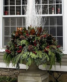 a large potted plant sitting in front of a window filled with greenery and pine cones