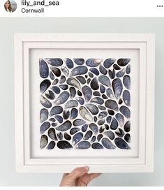 a person holding up a framed photo with shells on it