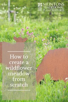 two metal cows in the grass with text overlay how to create a wildflower meadow from scratch