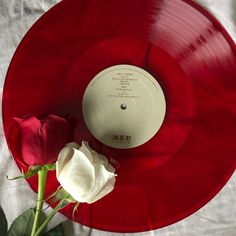 a single white rose sitting on top of a red record