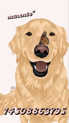 a golden retriever with a butterfly on its nose and the words happiness written below it