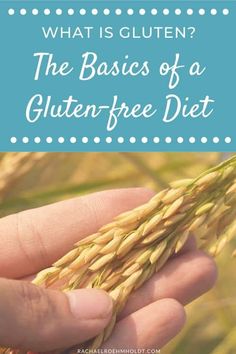 What is gluten in food? Find out what exactly gluten is, what gluten-free means, and the foods you can eat on a gluten-free diet. What Is Gluten Intolerance, Gluten Intolerance Symptoms, What Is Gluten, Running Nutrition, Dairy Free Diet, Muscle Food, Whole Food Diet