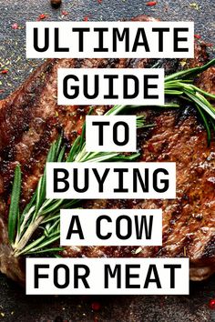 Helpful Guide to Buying a Cow for Meat (Quarter, Half, Whole Beef, etc.) Meat Cuts, Need To Know, Cow