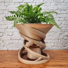 a potted plant sitting on top of a wooden table