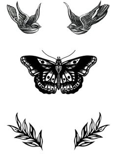 three different types of butterflies with wings and leaves on the bottom, one is black and white