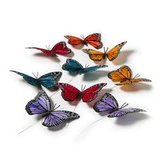 six colorful butterflies flying in the air