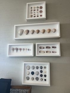 three white shelves with sea shells mounted on the wall