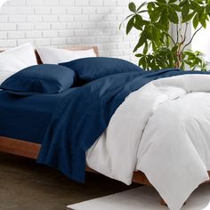 an unmade bed with blue and white linens in a bright room next to a potted plant