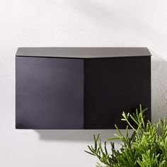 a plant is sitting in front of a black box on the side of a wall