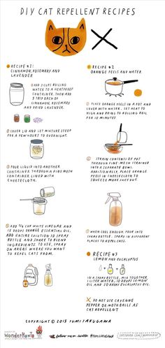 a poster with instructions on how to make homemade diy cat repellent recipe