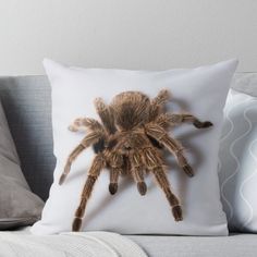 a large brown spider sitting on top of a white pillow