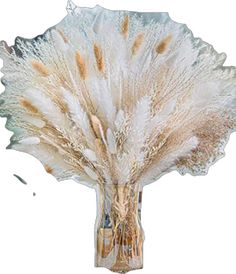 a white and brown flower in a glass vase on a white background with clippings