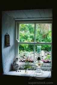 a window sill with flowers and plants in it