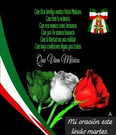 two red and white roses are in front of a black background with the italian flag