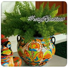 two colorful vases with plants in them sitting on a counter top next to a door