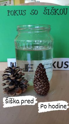 two pine cones sitting on top of a table next to a jar filled with water