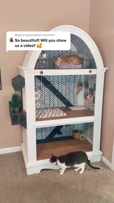 a black and white cat laying on the floor in front of a book shelf with an instagram sticker above it