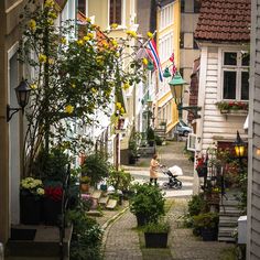 an alleyway with potted plants and flowers on either side, in the city