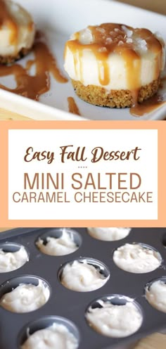 mini salted caramel cheesecakes in a muffin tin with text overlay