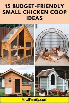 the ultimate guide to build a small chicken coop for your backyard or garden is here