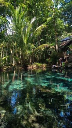 the water is crystal clear and blue in this tropical area, with palm trees on either side