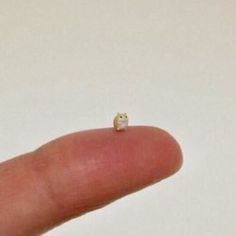 a tiny animal sitting on top of a finger