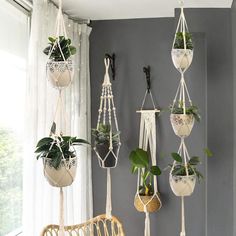 macrame plant hangers with plants in them