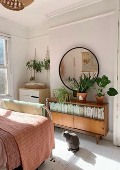 a cat sitting on the floor in front of a bed and dresser next to a window