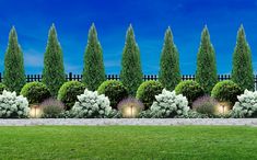 a row of trees and bushes in front of a fence with lights on each side