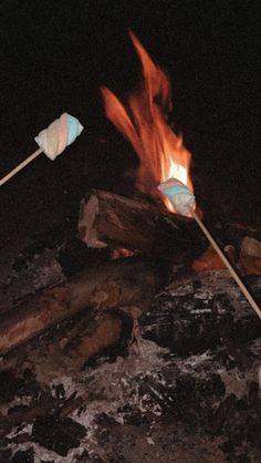 two marshmallows sitting on sticks in front of a campfire