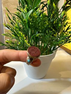 a person is holding a ring in front of a potted plant with green leaves