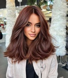 Dark Fall Hair, Chestnut Hair, Chestnut Hair Color, Brown Hair Looks, Red Brown Hair, Auburn Hair