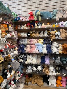 there are many stuffed animals on the shelves