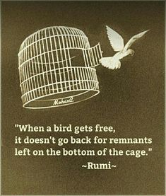 a bird in a cage with the caption, when a bird gets free, it doesn't go back for remnants left on the bottom of the cage rumi