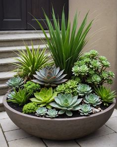 a planter filled with lots of succulents