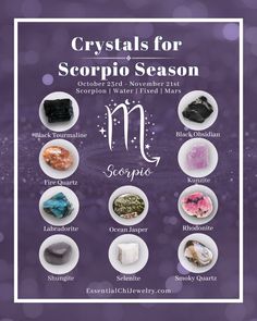 Crystals for Scorpio – Essential Chi Jewelry Energy Alignment, Spiritual Tips, Clear Energy, Nature Witch, Natural Philosophy, Unique Crystals, Celestial Crystal, Sage Smudging