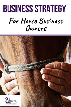 a person is holding the reins on a horse's bridle with text that reads, business strategy for horse business owners