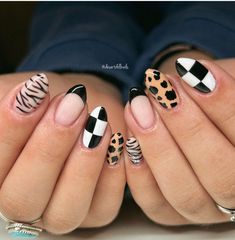 White Checkerboard Nails, Ladybug Nails, Fall Nail Design, Zebra Print Nails, Tiger Nails, Checkered Nails, Fall Nail Ideas